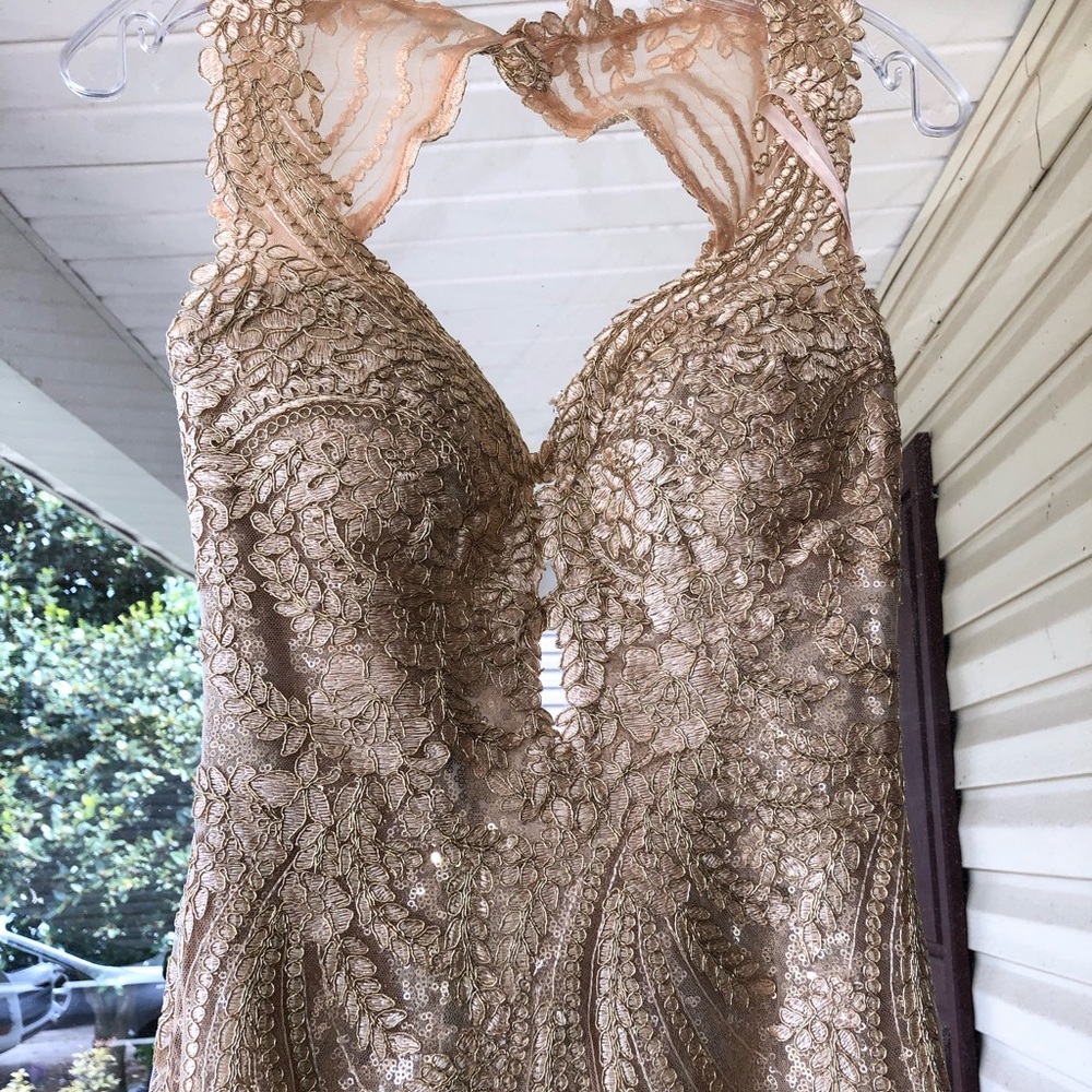 Prom/pageant dress